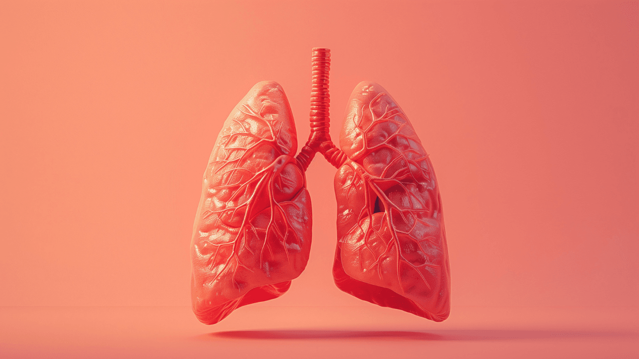 Beautiful human lungs anatomy on science background. 3d illustration. 3D Rendering of Human Internal Organ. Graphic of lung with smoke cancer. Lung cancer, medical concept, CT Chest or Lung 3d. Image Credit: Adobe Stock Images/Sweetrose official