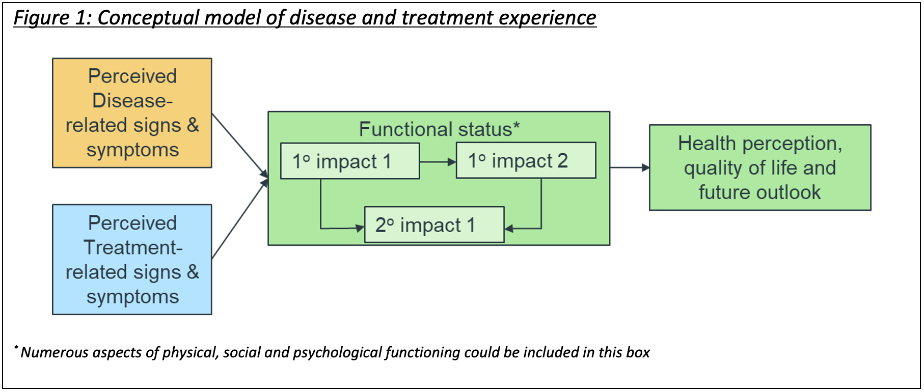 Figure 1: Conceptual model of disease and treatment experience